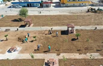 Büyükşehir Harran’ı yeşillendiriyor