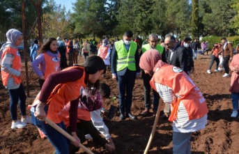 Şanlıurfa’da fidanlar toprakla buluştu