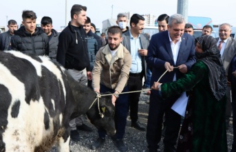 Büyükşehirden hayvan yetiştiricilerine destek