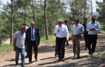 Bozova’ya Bongalov evleri çok yakışacak