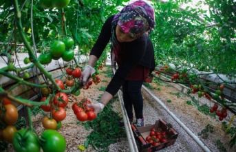 Urfa 4.0 zirvesi başlıyor