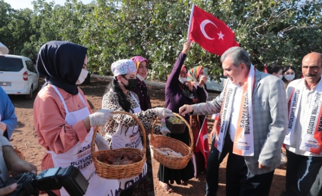 Hasat edilen üzümler Şire Şenliğinde tanıtıldı