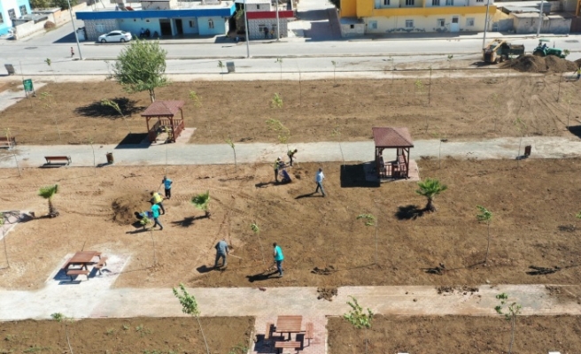 Büyükşehir Harran’ı yeşillendiriyor