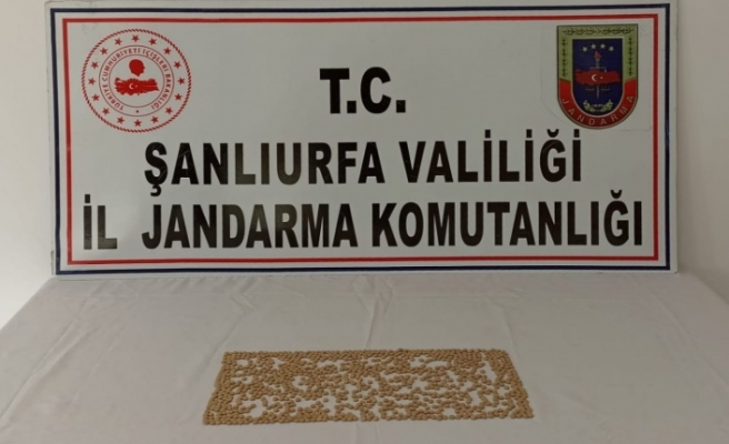 Jandarmadan uyuşturucuya geçit yok