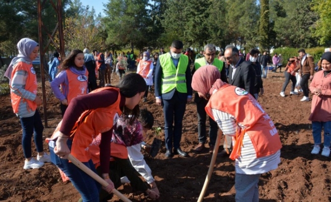 Şanlıurfa’da fidanlar toprakla buluştu