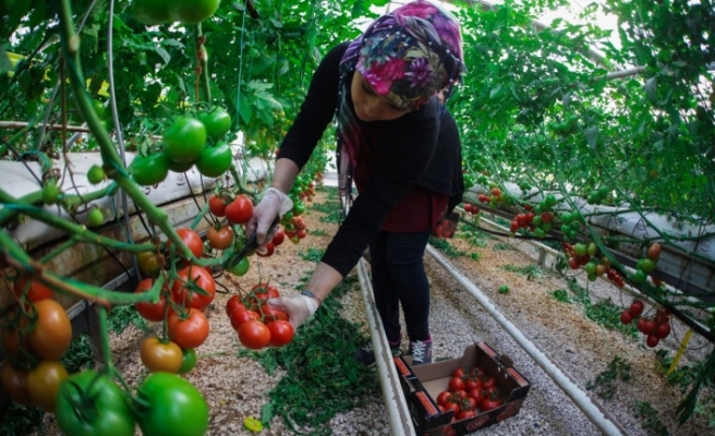 Urfa 4.0 zirvesi başlıyor